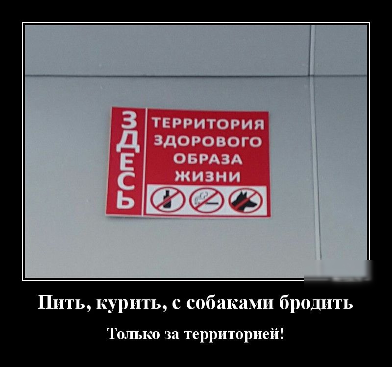 Пить курить с собаками бродить Только за территорией