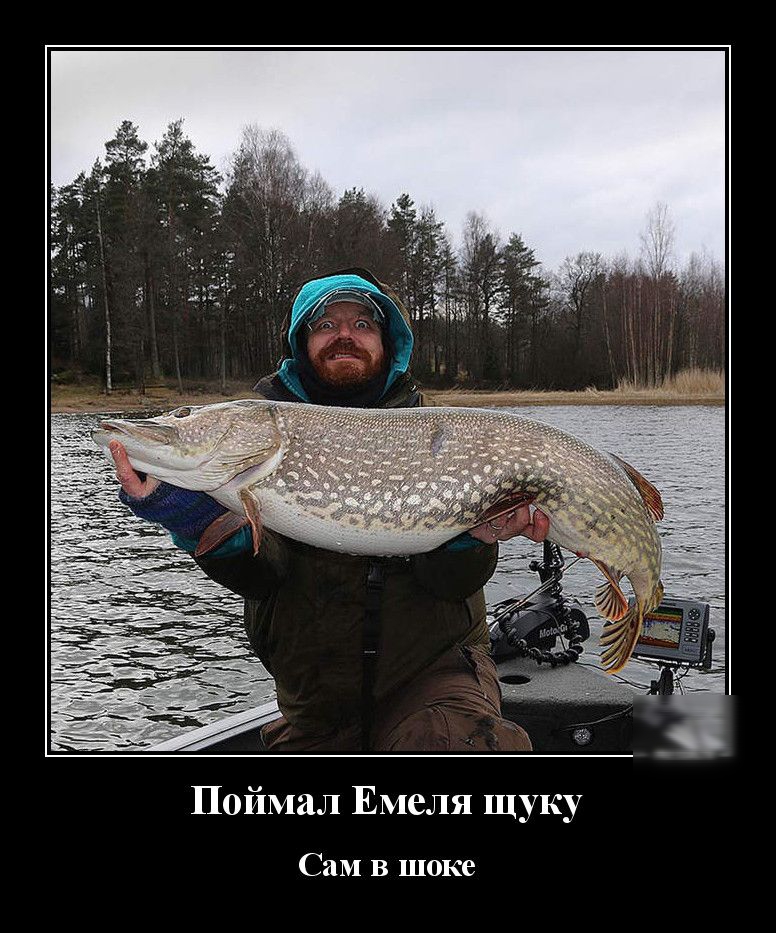 Поймал Емеля щуку Сам в шоке