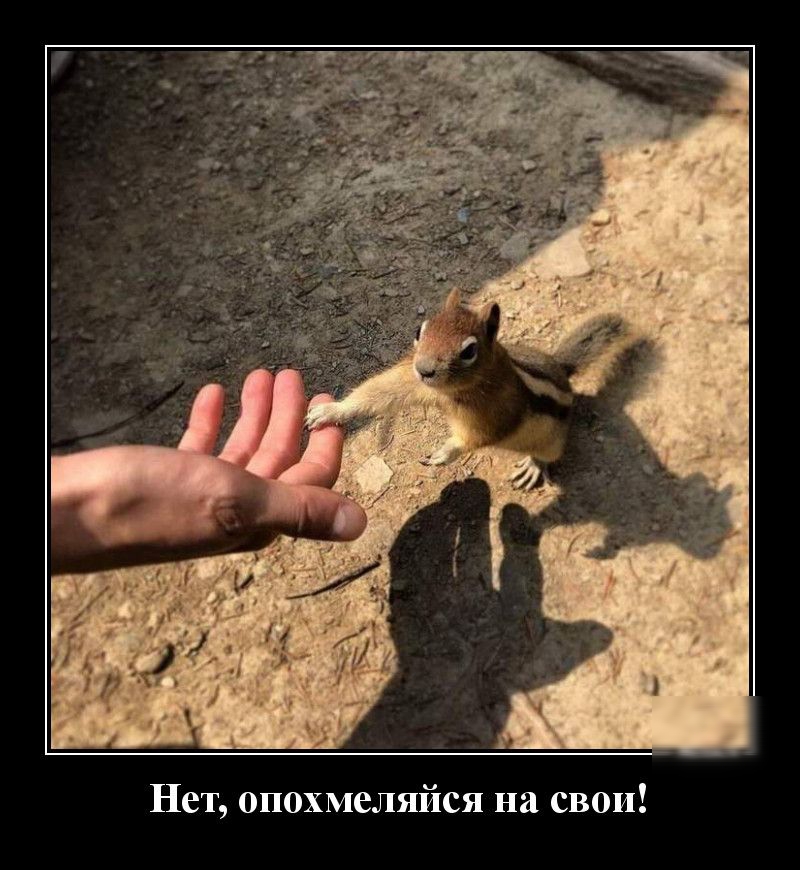Нет опохмеляйся на свои