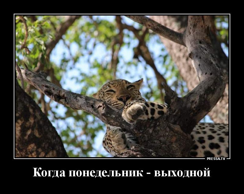Когда ПОНСДСЛЬНИК ВЫХОДНОЙ
