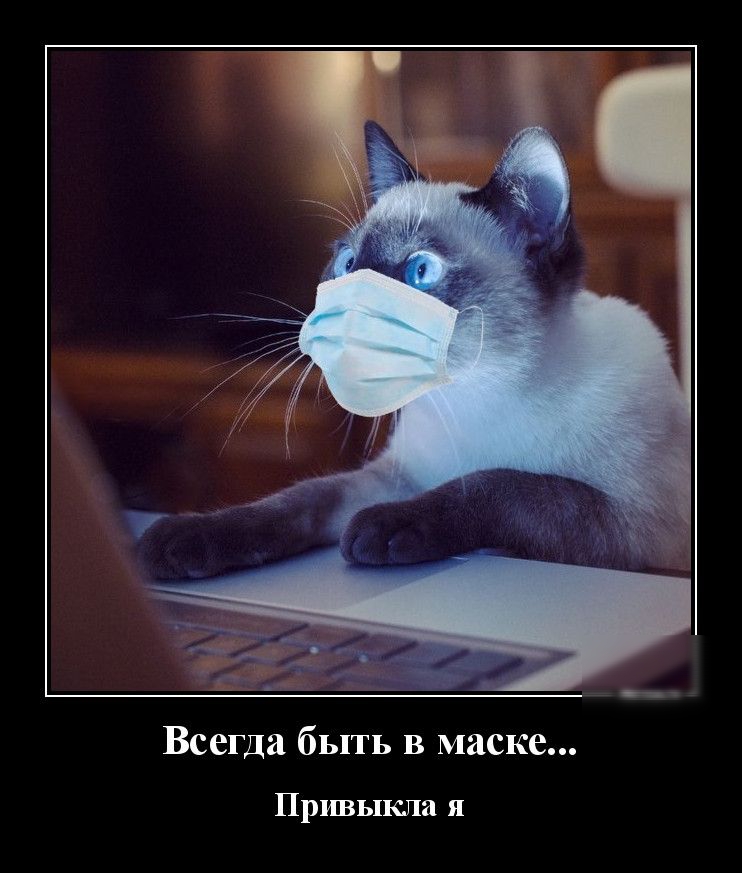 Всегда быть в маске Привыкла я