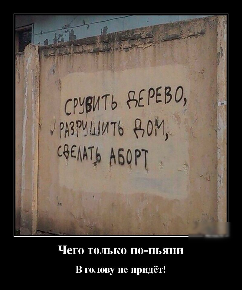 рдггиыить вотг Чего только по пьяни В голову не придёт