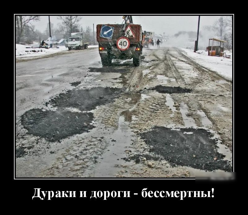 Дураки и дороги бессмертны