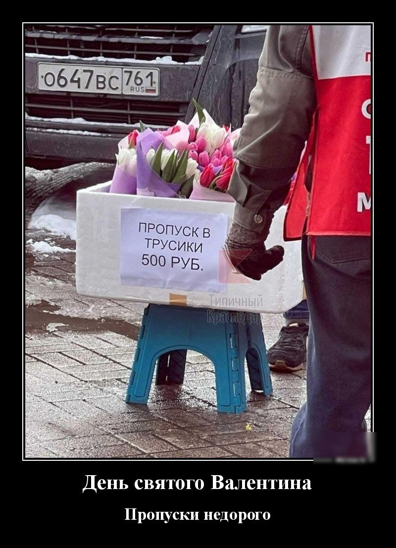 День святого Валентина Пропуски недорого