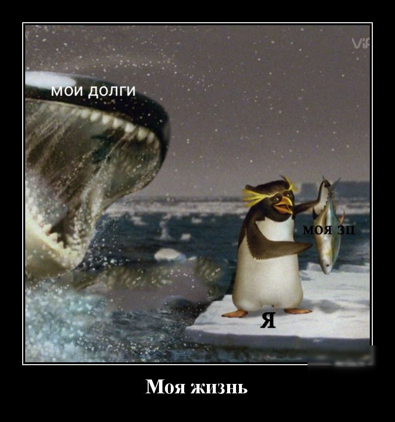 Моя жизнь