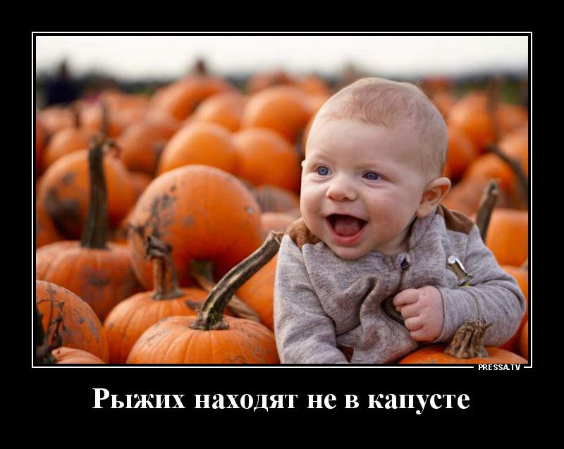 Рыжих находят не в капусте