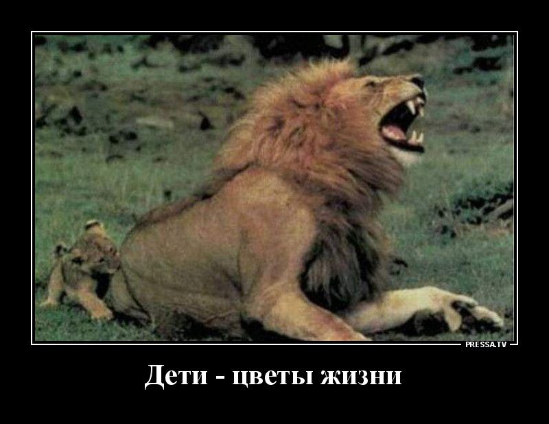 жизни Дети цветы жизни
