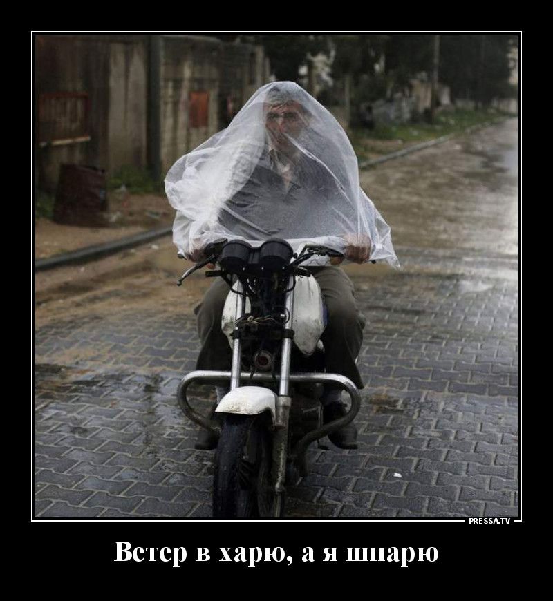 жизни Ветер в харю а я шпарю