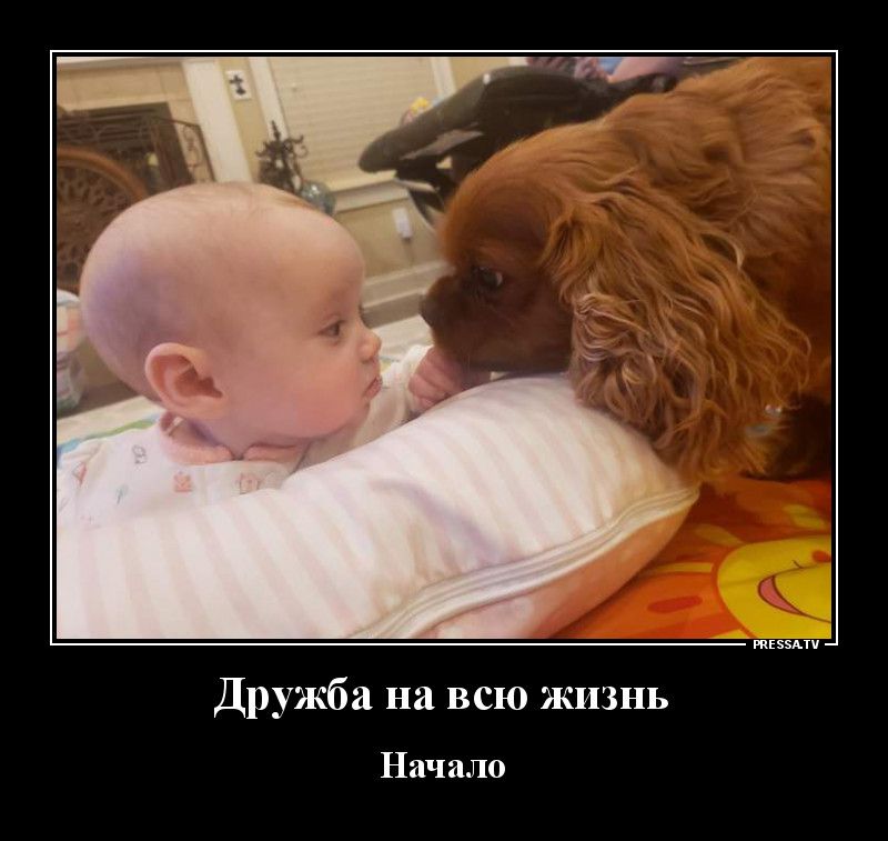 тззми Дружба на всю жизнь Начало