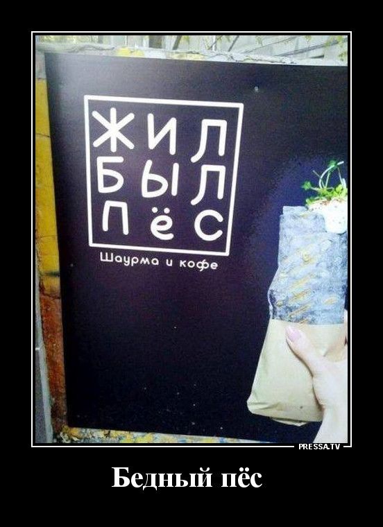 Бедный пёс тззпч