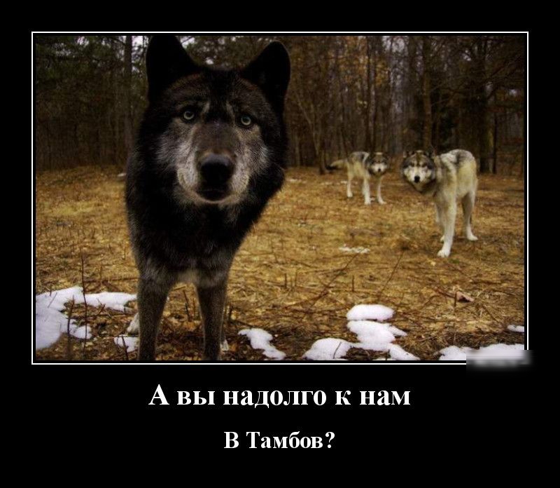 2 ы А вы надолго к нам В Тамбов