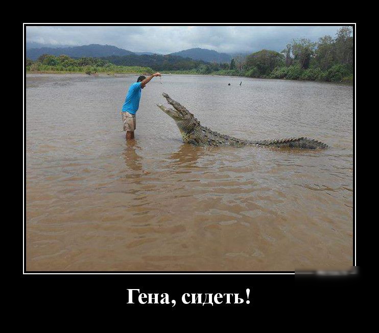Гена сидеть