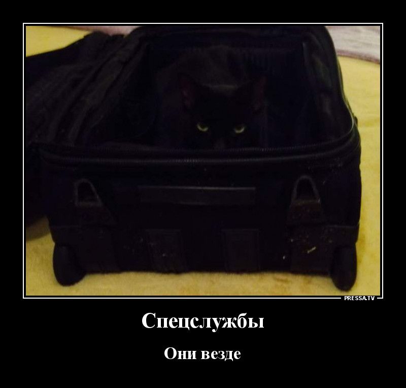 пашни Спецслужбы Они везде