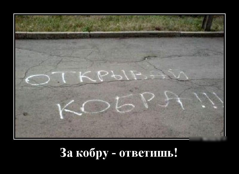 За кобру ответишь