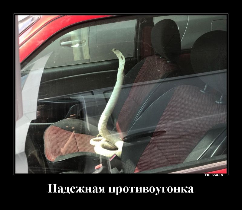 Надежная противоугонка