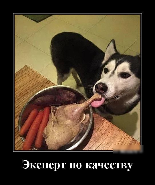 Эксперт по качеству