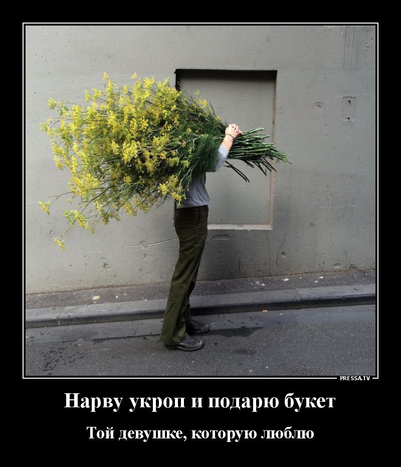 тззми Нарву укроп и подарю букет Той девушке которую люблю