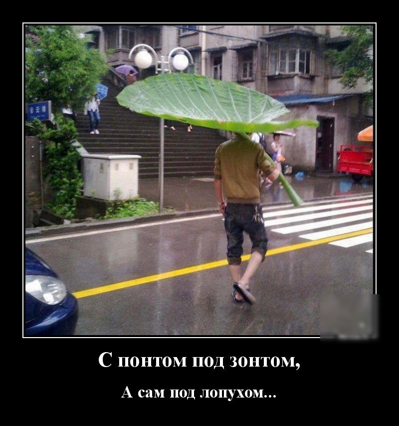 С понтом под зонтом А СИМ ПОД ЛОПУХОМ