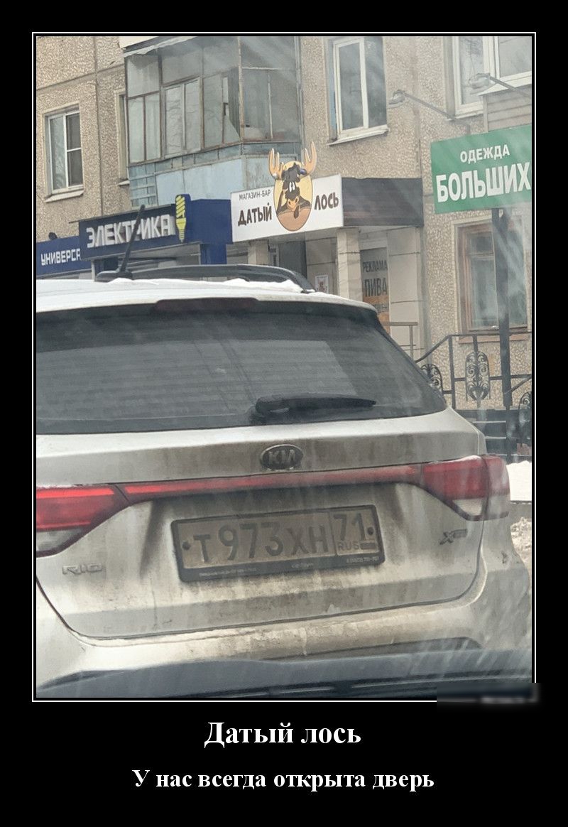 Датый лось у нас всегда открыта Дверь