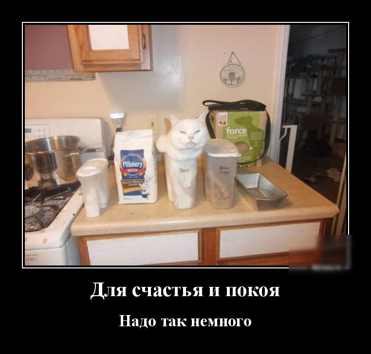 Для счастья и покоя Надо так немного