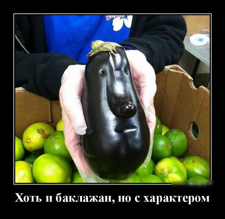 Хоть и баклажан но с характером