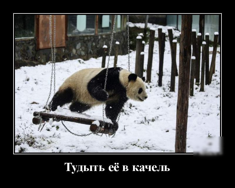Тудыть её в качель