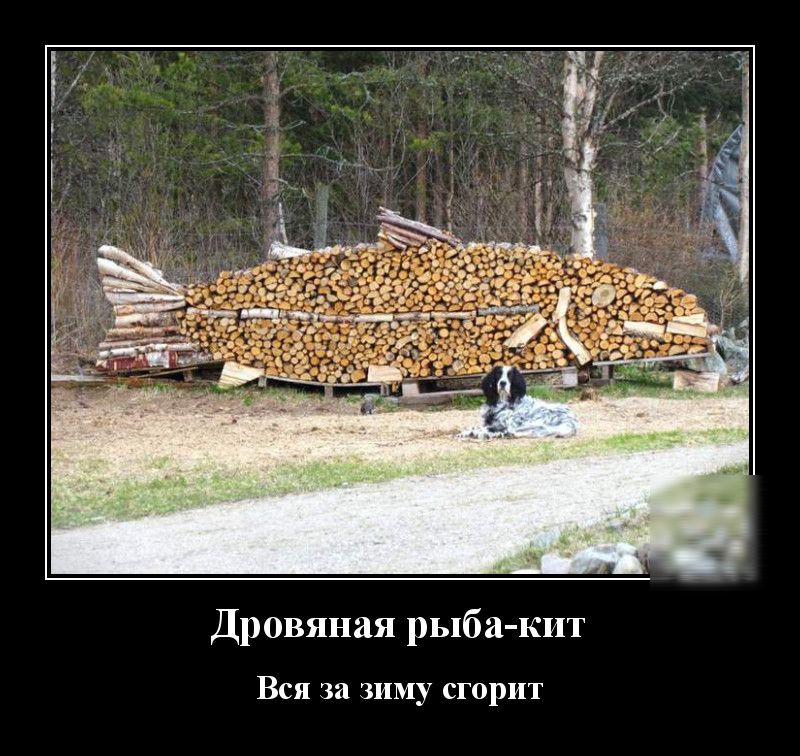 Дровяная рыба кит Вся за зиму сгорит