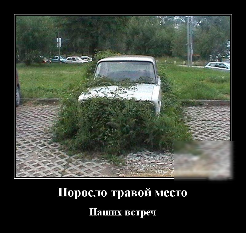 Поросло травой место Наших встреч