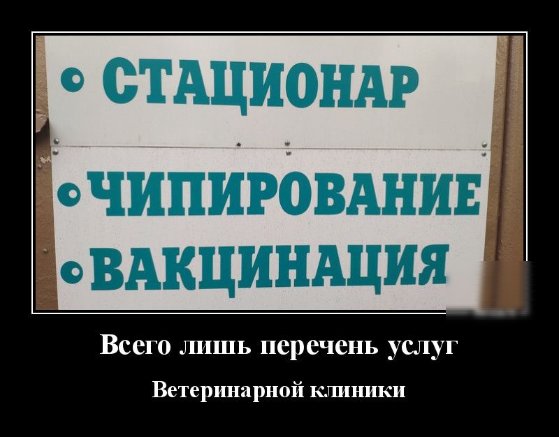 СТАЦИОНАР очипиюынив доВАкцинАция Всего лишь перечень услуг Ветеринарной клиники
