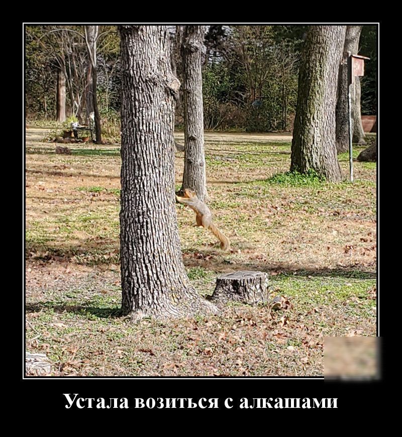 Устала возиться с алкашами