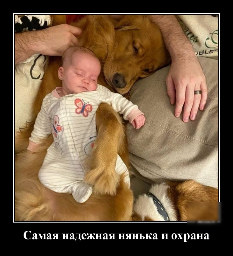 Самая надежная нянька И охрана