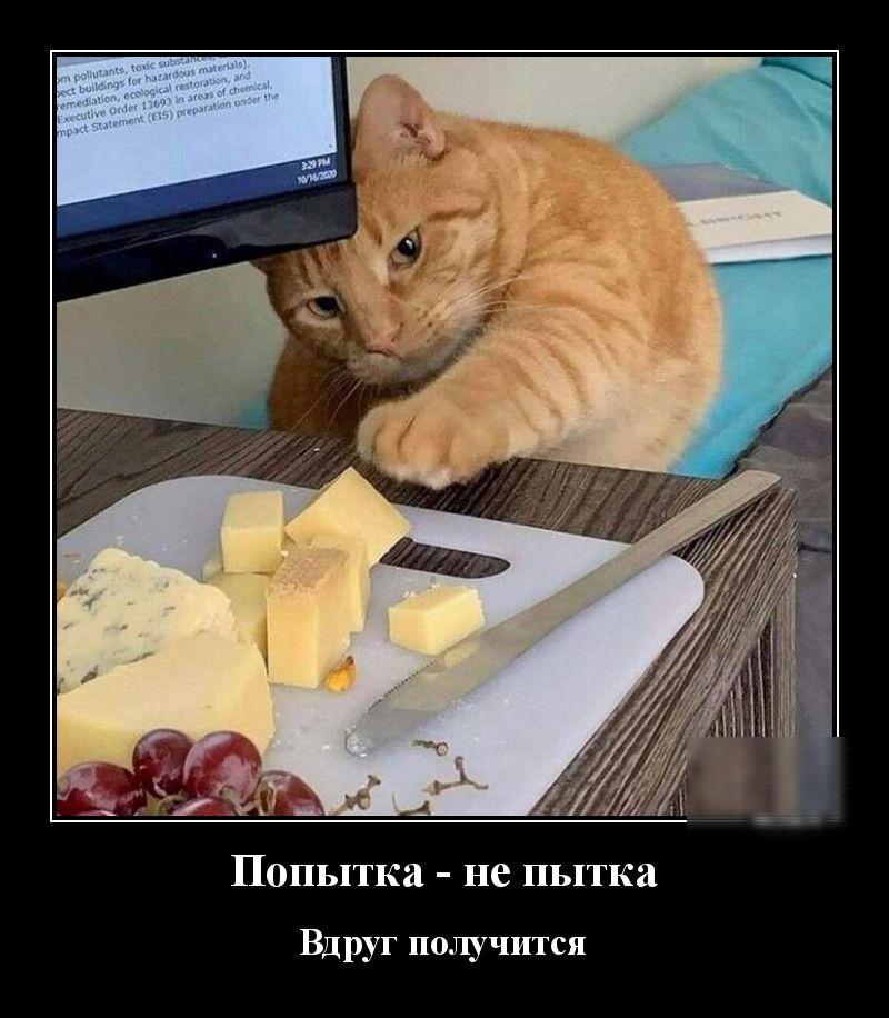 Попытка не пытка Вдруг получится