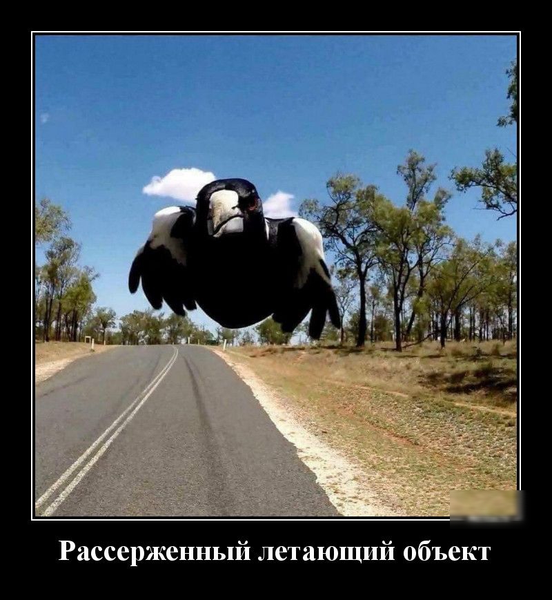 Рассерженный летающий объект