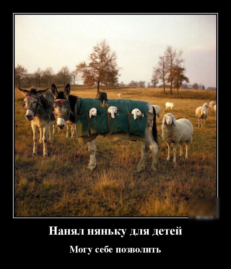 Нанял няньку Для Детей Могу себе позволить