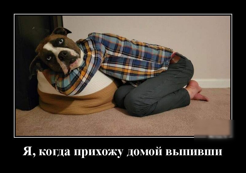 Я когда прихожу Домой выпивши