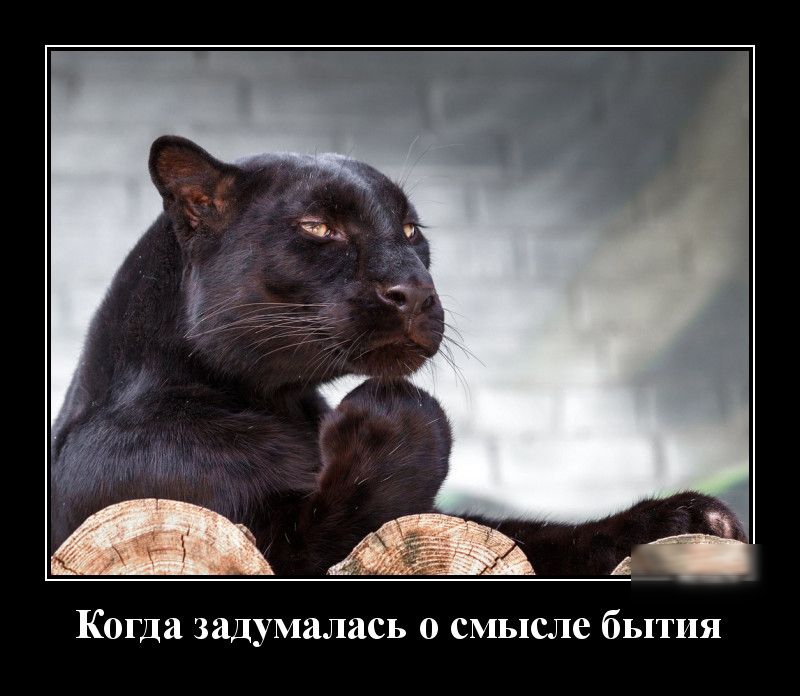 Когда задумалась 0 смысле бытия