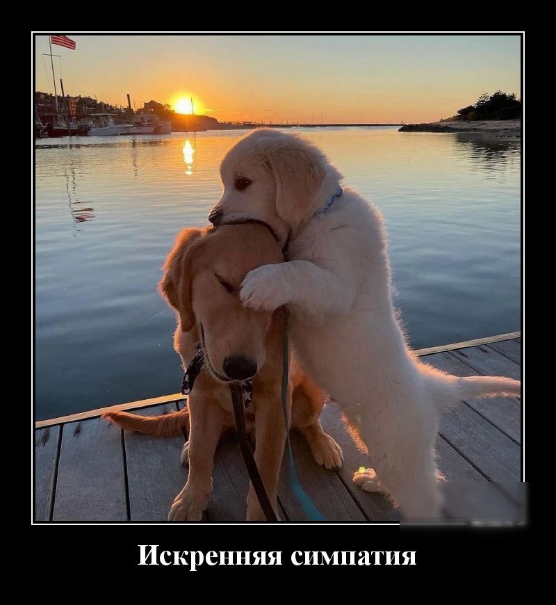 Искренняя симпатия