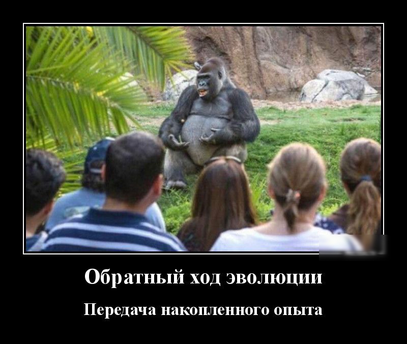 Обратный ход эволюции Передача накопленного опыта