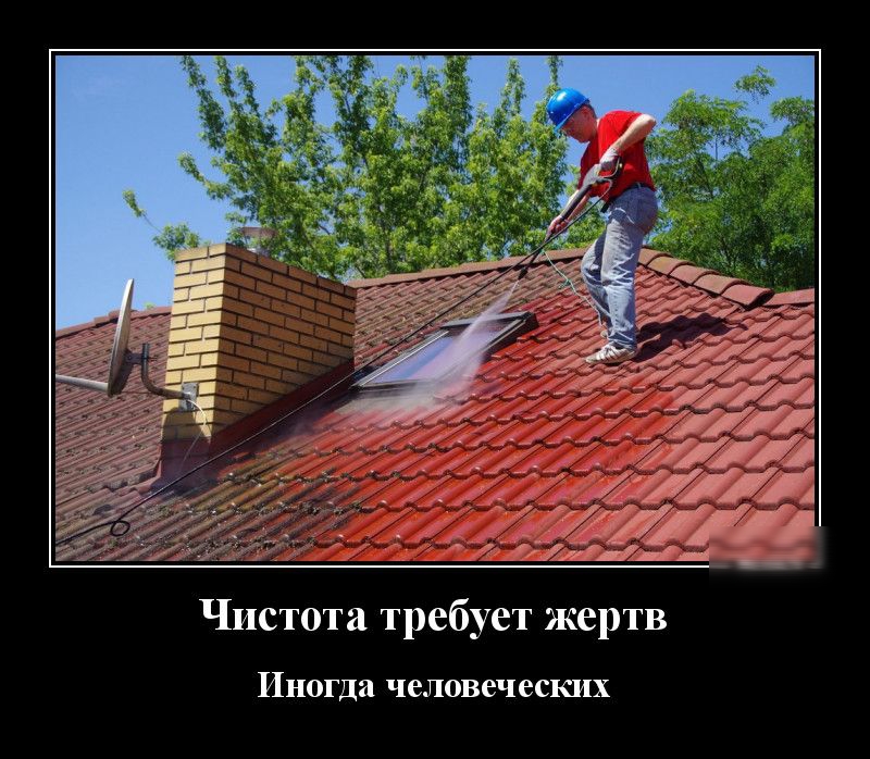 Чистота требует жертв Иногда человеческих