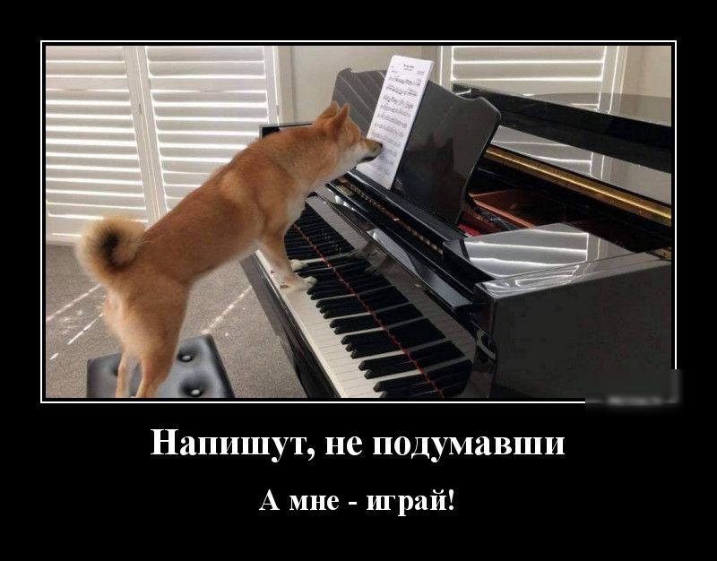 НЗПИШУТ не ПОДУМЗВШИ А мне играй