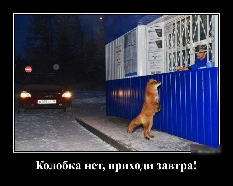 Колобка нет приходи завтра