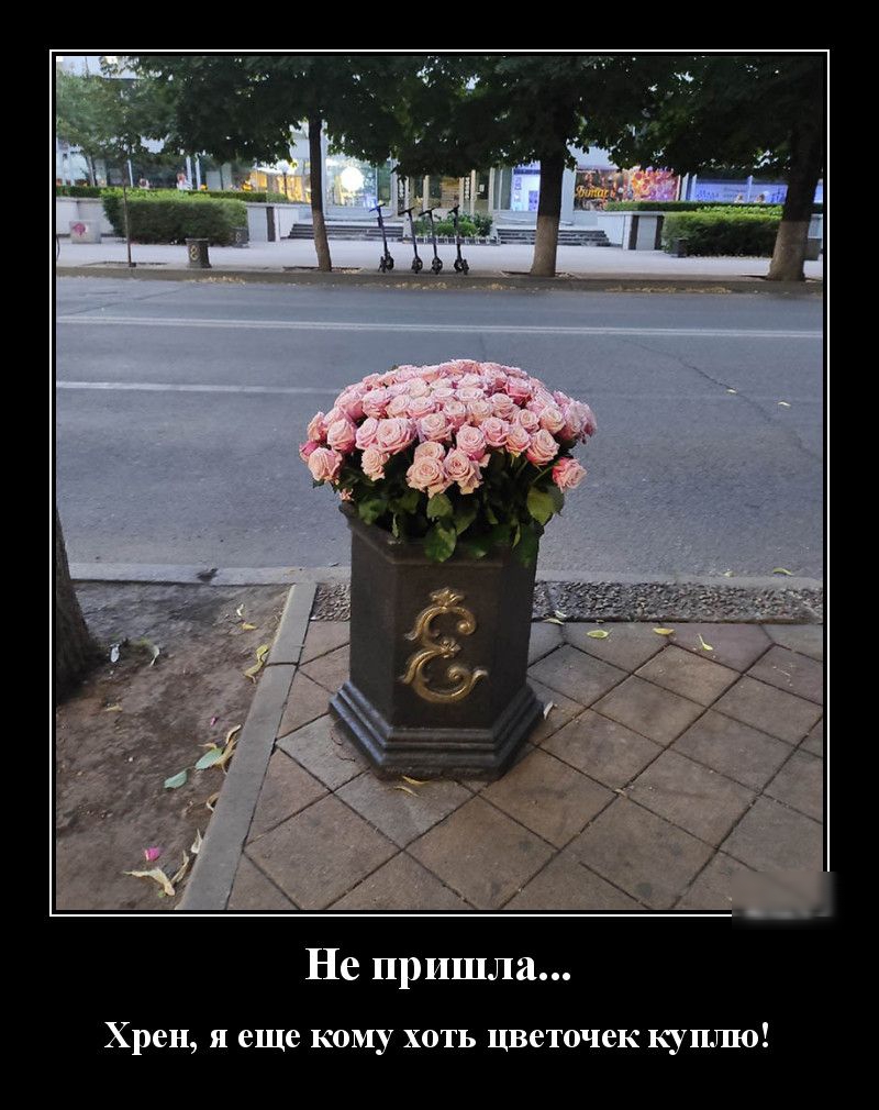 Не пришла Хрен я еще кому хоть цветочек куплю