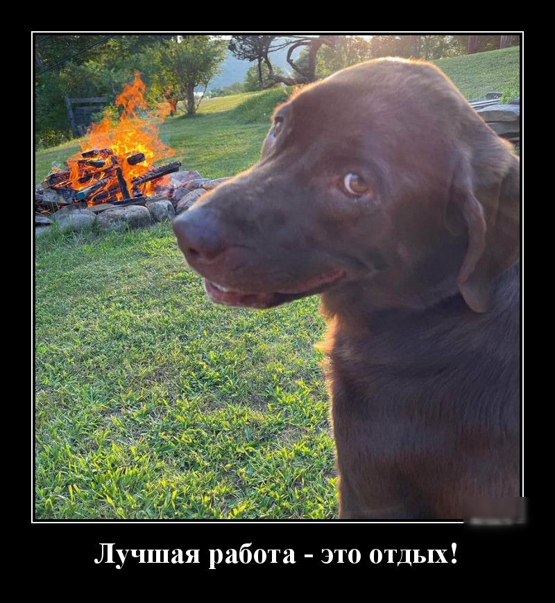 Лучшая работа это отдых