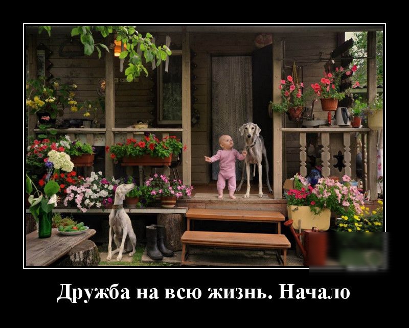 Дружба на всю жизнь Начало