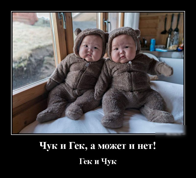 Чук и Гек а может и нет Гек и Чук