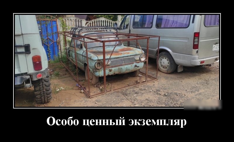 Особо ценный экземпляр