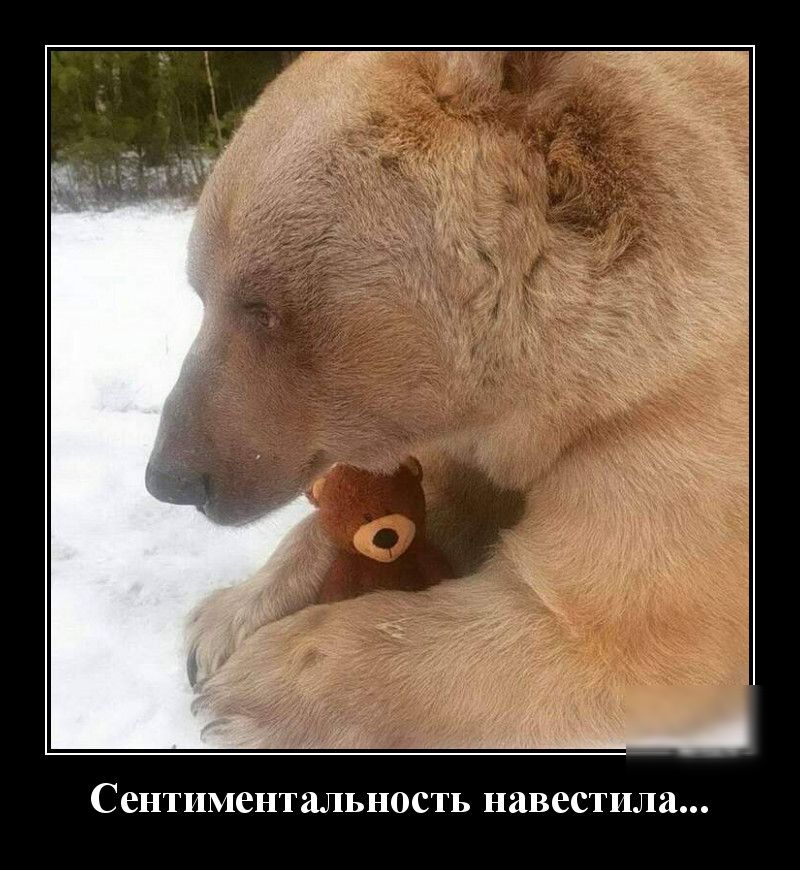 Сентиментальность навестила