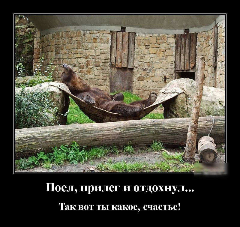 поел прилег И ОТДОХНУЛ Так вот ты какое счастье