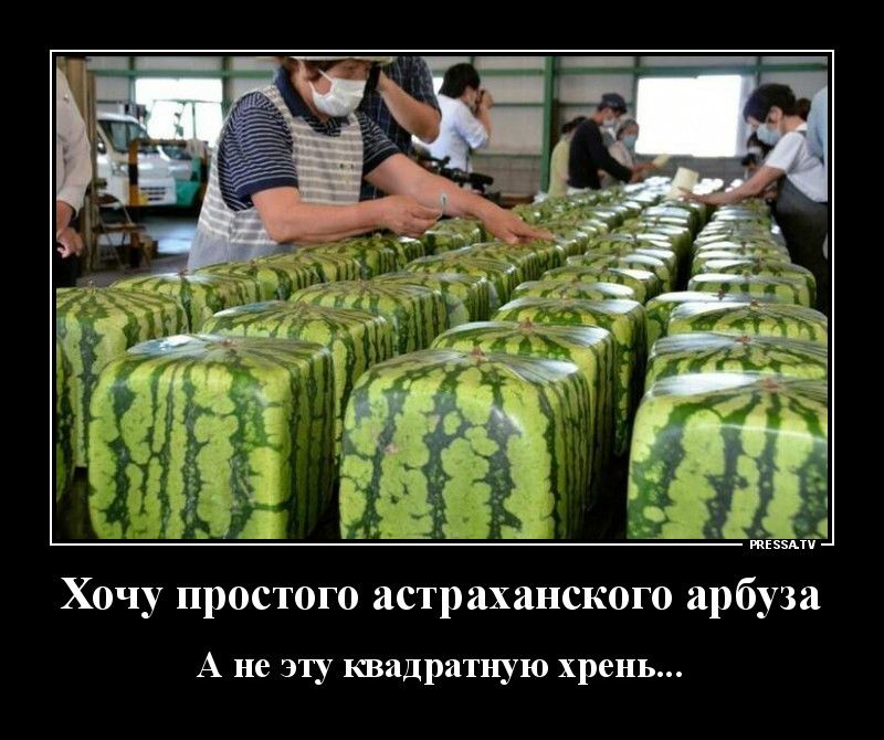 тззмч Хочу простого астраханского арбуза А не эту квадратную хрень