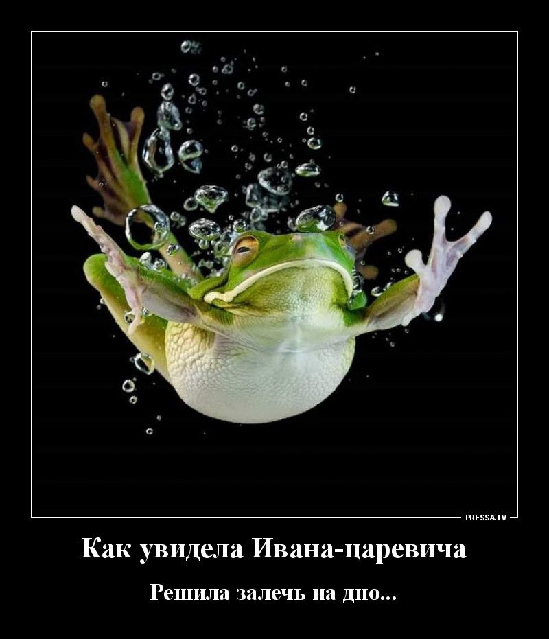 тззми Как увидела Ивана царевича Решила залечь на ДНО